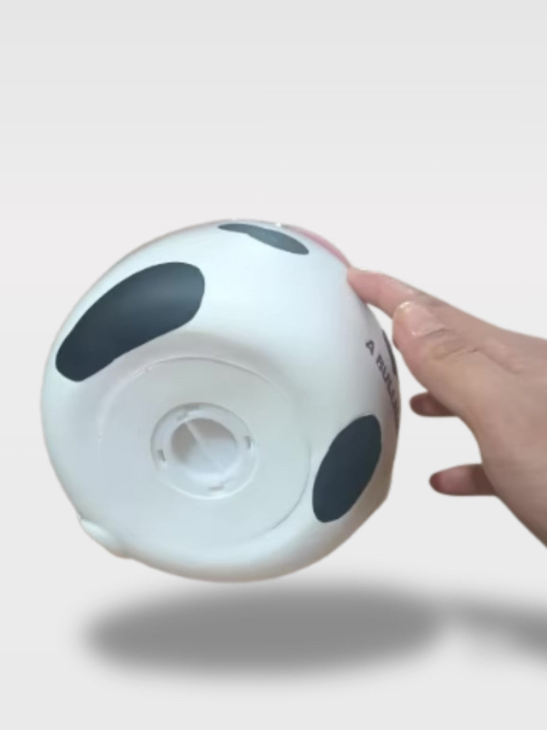 Tirelire Vache Originale <br>La Reine Des Prariés