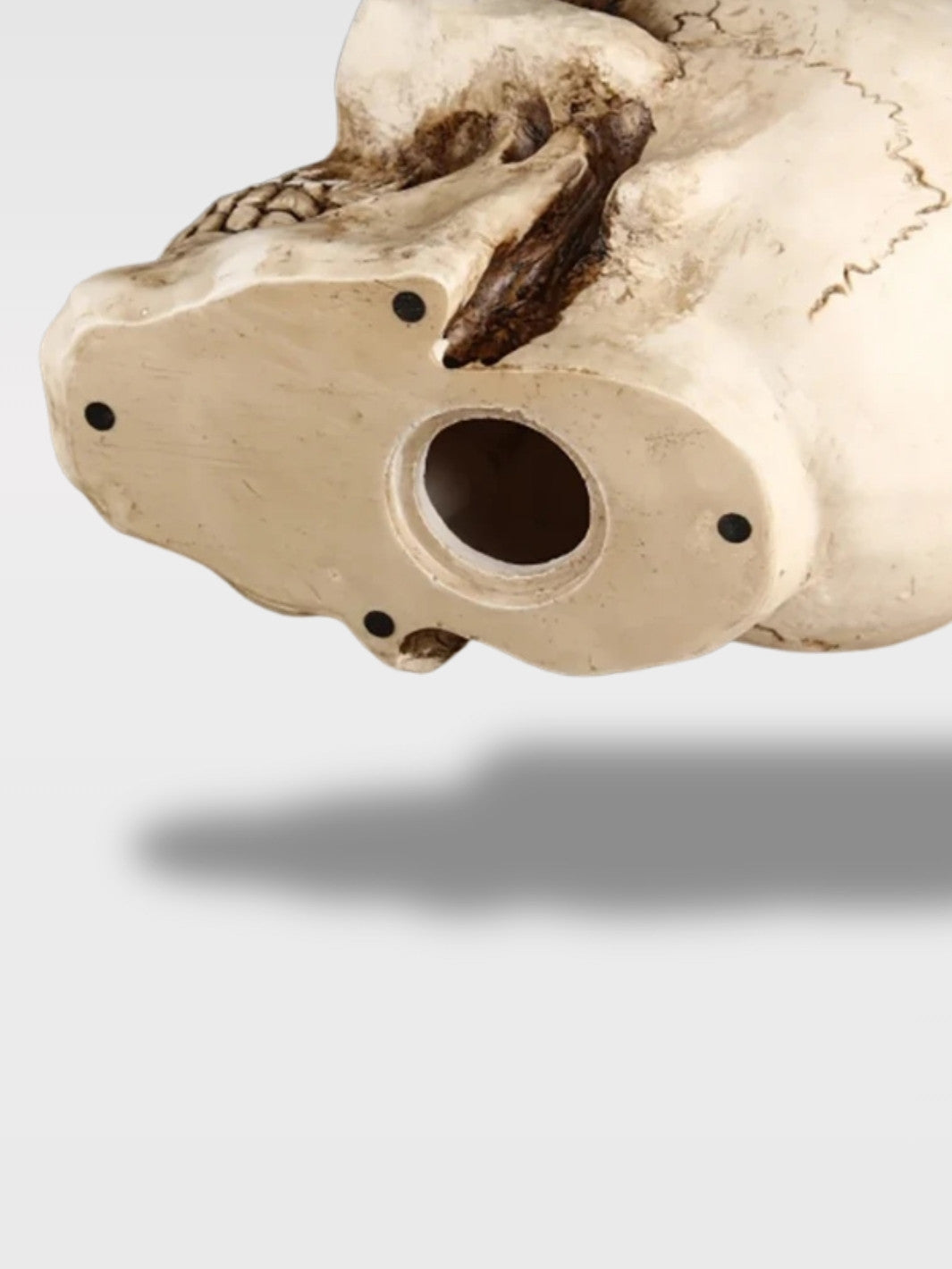 Tirelire Crâne de Pirate<br>Le Capitaine Fantôme