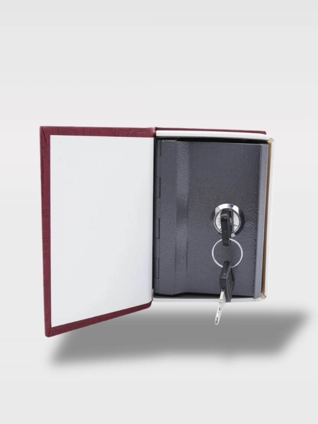 Tirelire Dictionnaire Trompe-l’Œil<br>Le Savant Malin