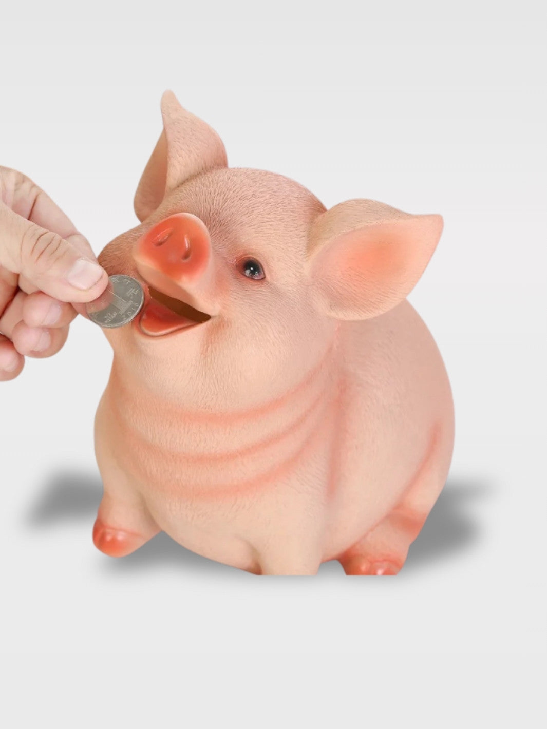 Tirelire Cochon Vintage<br>Le Petit Rosé