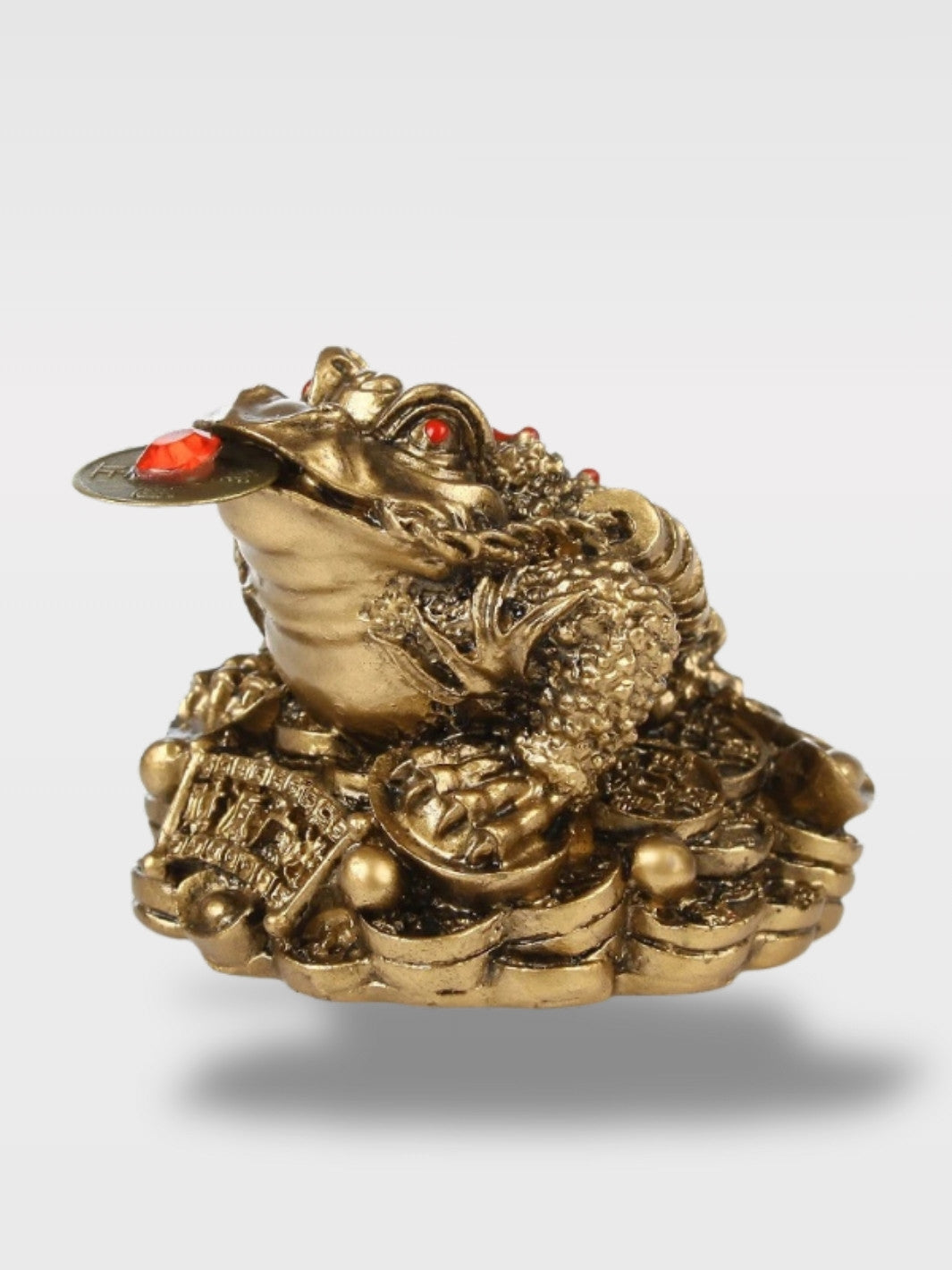 Tirelire Grenouille<br>Le Gardien Feng Shui
