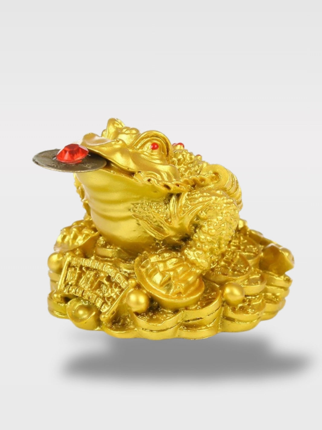 Tirelire Grenouille<br>Le Gardien Feng Shui
