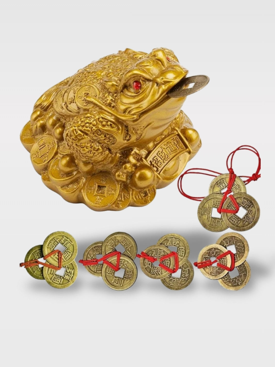 Tirelire Grenouille<br>Le Gardien Feng Shui