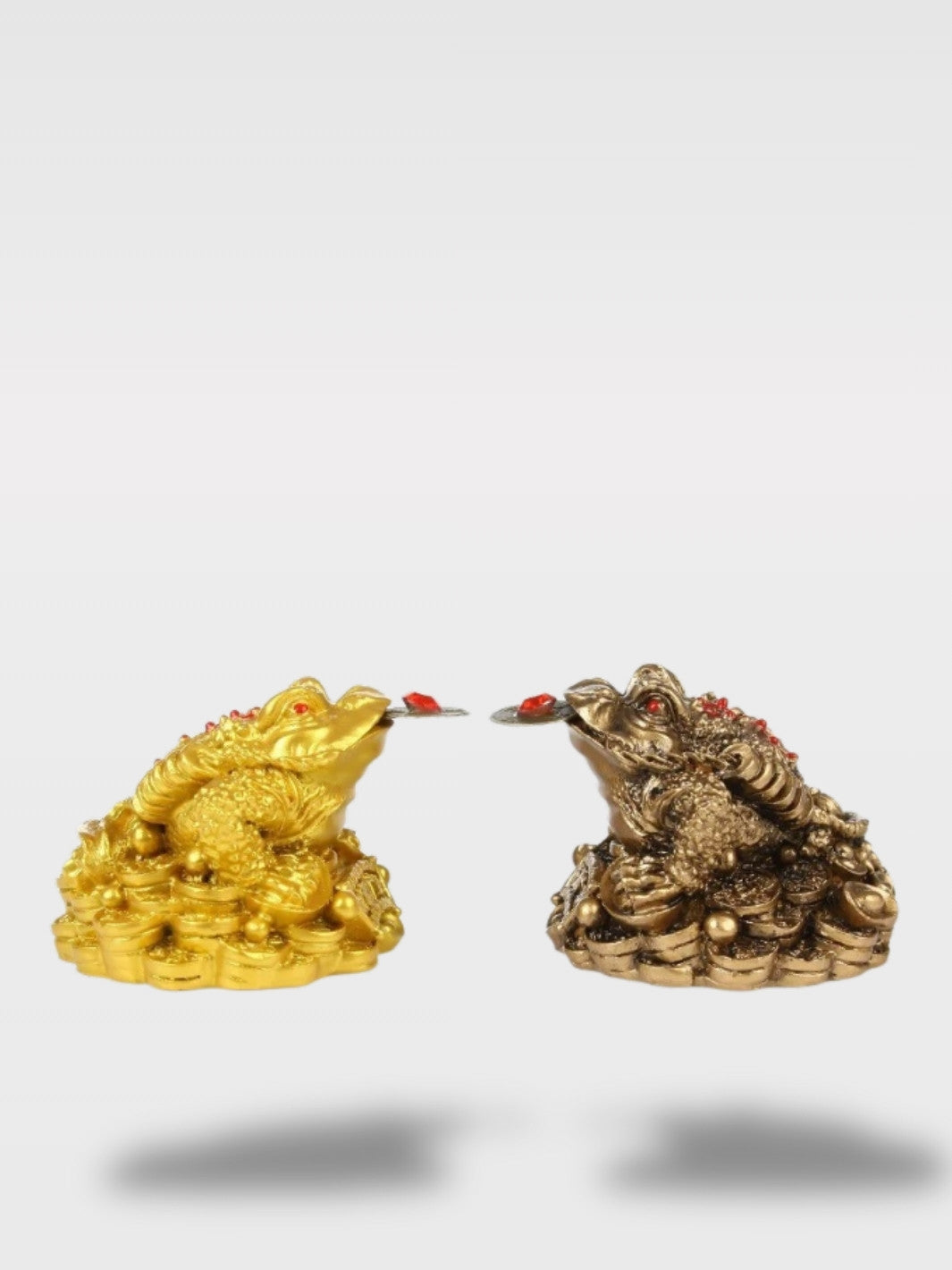 Tirelire Grenouille<br>Le Gardien Feng Shui