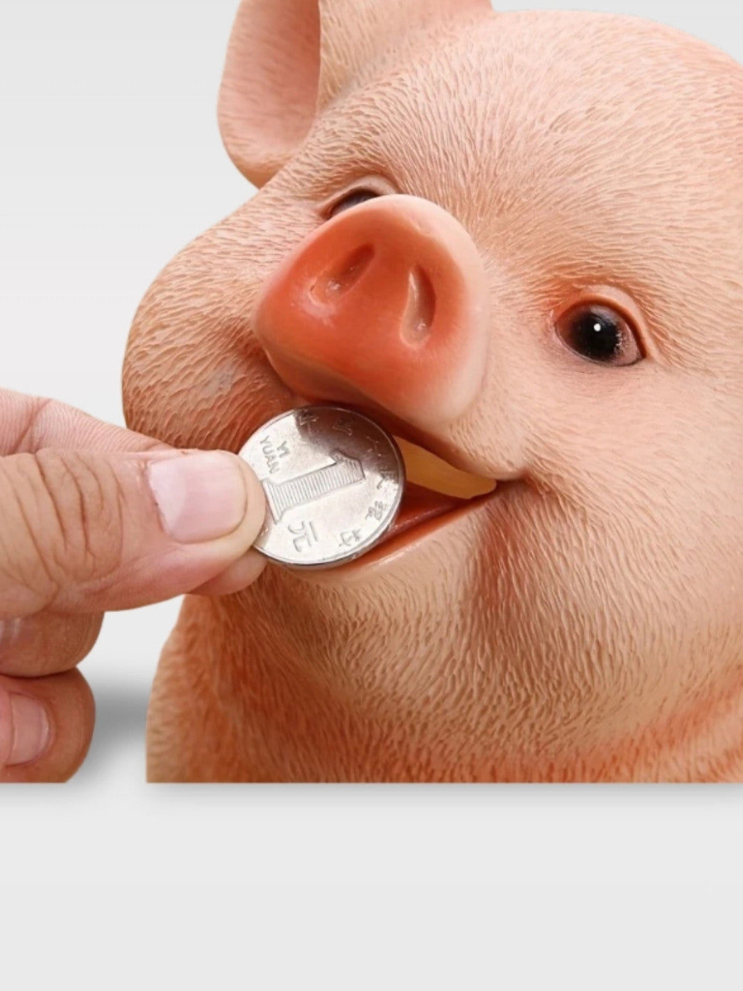 Tirelire Cochon Vintage<br>Le Petit Rosé