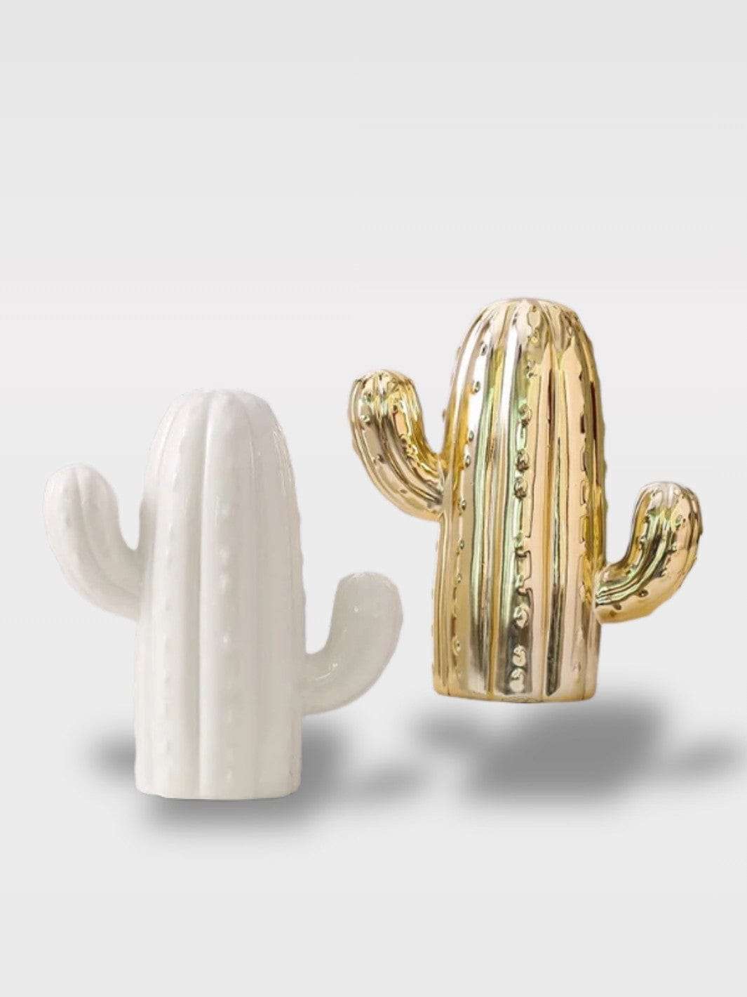Tirelire Cactus En Céramique | Fond Amovible et Colorée