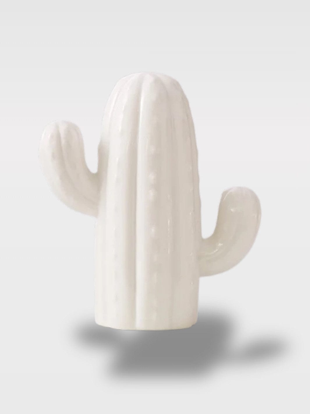 Tirelire Cactus En Céramique | Fond Amovible et Colorée Le Délicat – Blanc