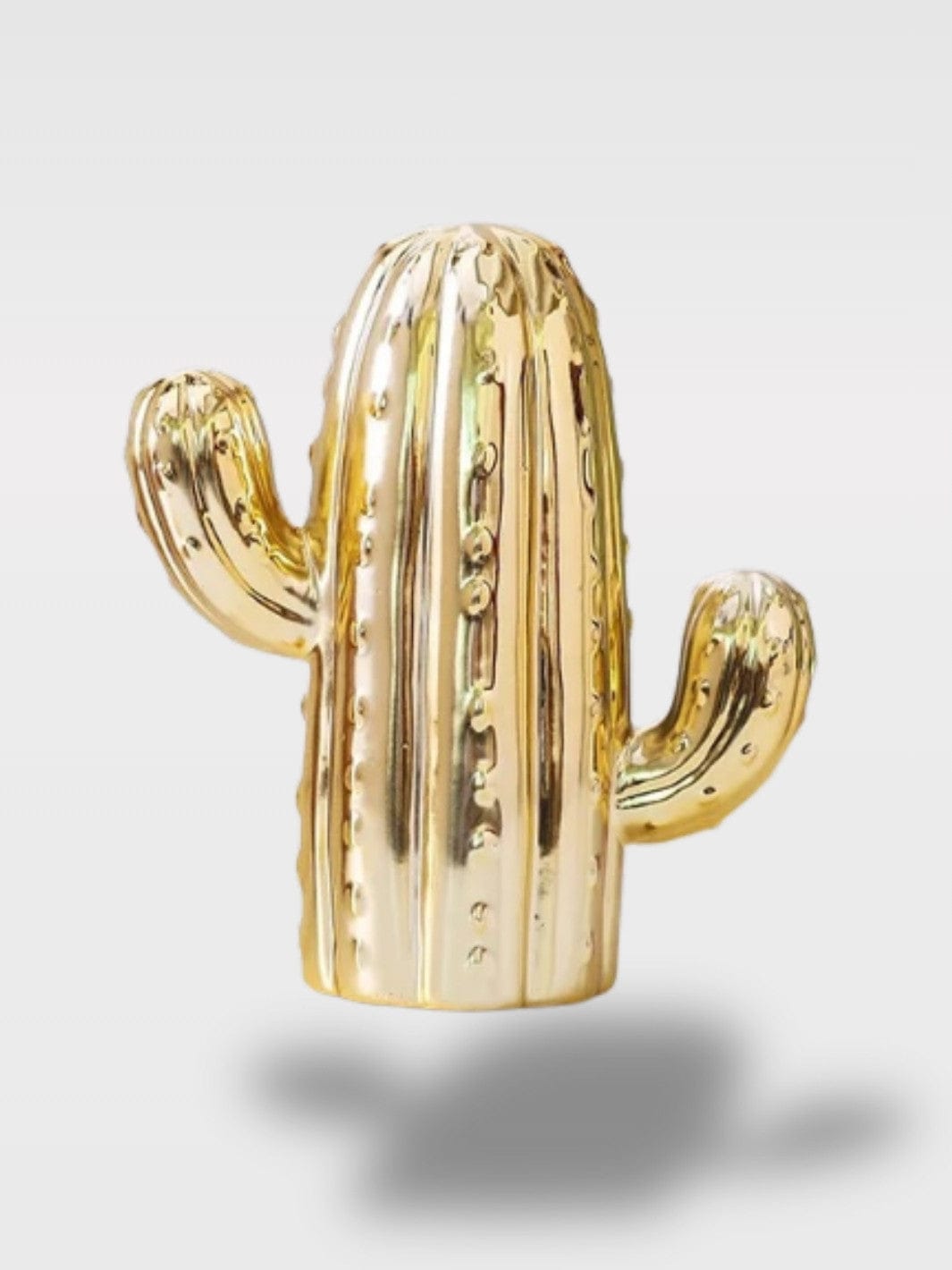 Tirelire Cactus En Céramique | Fond Amovible et Colorée Le Radieux – Doré