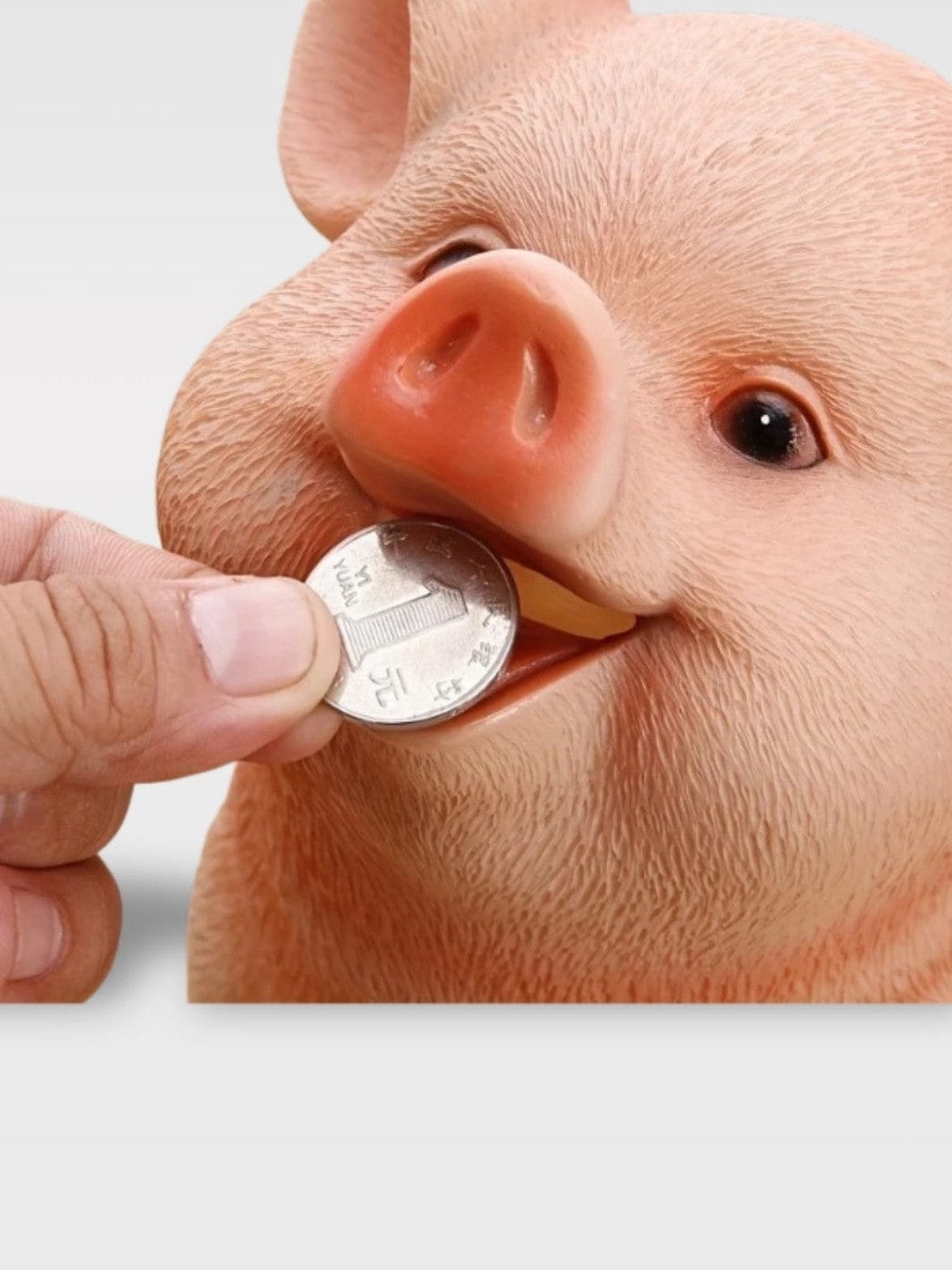 Tirelire Cochon Vintage | Charmante et Rose